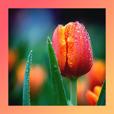 FRESH-UP_tulip.png&width=400&height=500